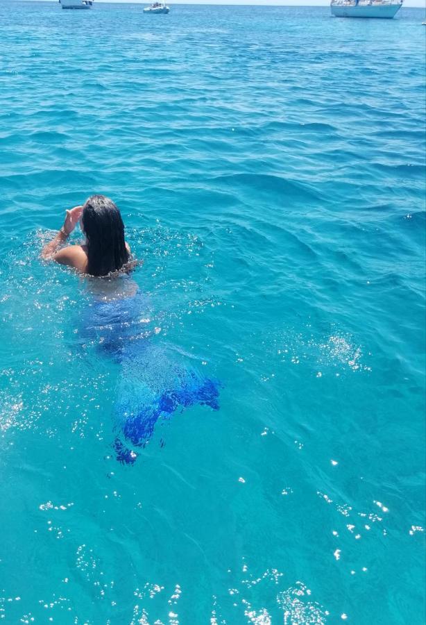 لو أواسي فيلاجيو ألبيرجو فافينانا المظهر الخارجي الصورة